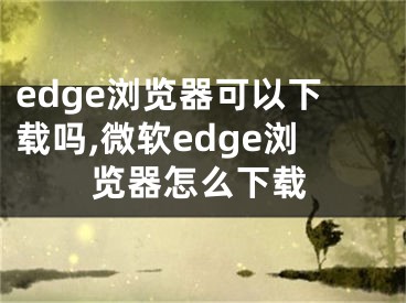 edge浏览器可以下载吗,微软edge浏览器怎么下载