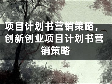 项目计划书营销策略，创新创业项目计划书营销策略