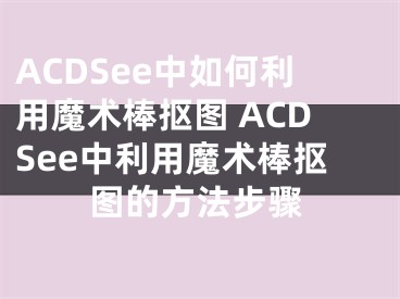 ACDSee中如何利用魔术棒抠图 ACDSee中利用魔术棒抠图的方法步骤