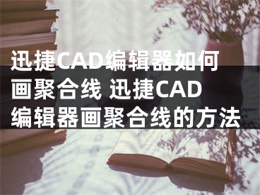 迅捷CAD编辑器如何画聚合线 迅捷CAD编辑器画聚合线的方法