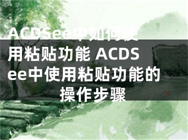 ACDSee中如何使用粘贴功能 ACDSee中使用粘贴功能的操作步骤