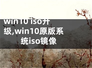 win10 iso升级,win10原版系统iso镜像