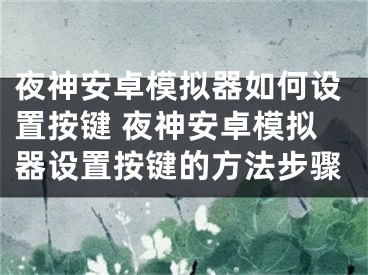 夜神安卓模拟器如何设置按键 夜神安卓模拟器设置按键的方法步骤