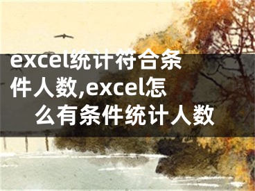 excel统计符合条件人数,excel怎么有条件统计人数