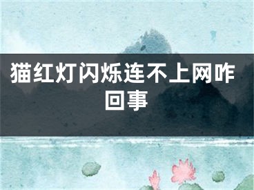 猫红灯闪烁连不上网咋回事