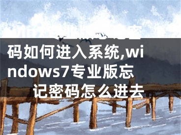 win7专业版忘记密码如何进入系统,windows7专业版忘记密码怎么进去