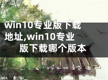win10专业版下载地址,win10专业版下载哪个版本