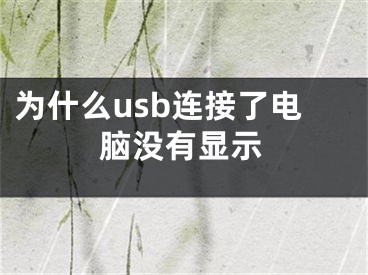 为什么usb连接了电脑没有显示