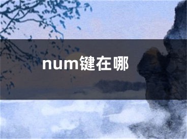 num键在哪