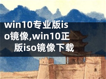 win10专业版iso镜像,win10正版iso镜像下载