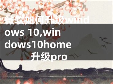 微软如何升级windows 10,windows10home升级pro