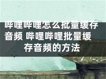 哔哩哔哩怎么批量缓存音频 哔哩哔哩批量缓存音频的方法