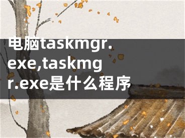 电脑taskmgr.exe,taskmgr.exe是什么程序