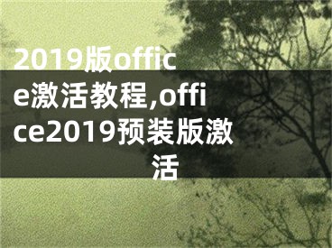 2019版office激活教程,office2019预装版激活