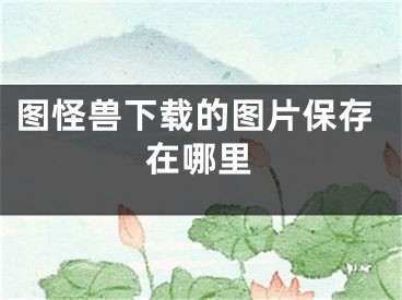 图怪兽下载的图片保存在哪里