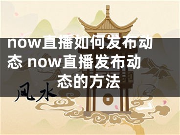 now直播如何发布动态 now直播发布动态的方法