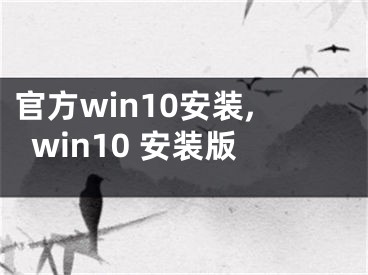 官方win10安装,win10 安装版