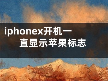 iphonex开机一直显示苹果标志