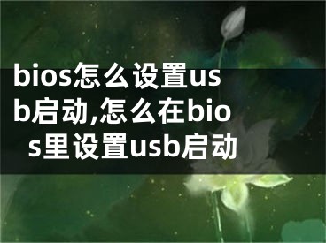 bios怎么设置usb启动,怎么在bios里设置usb启动