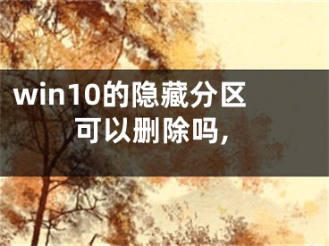 win10的隐藏分区可以删除吗,