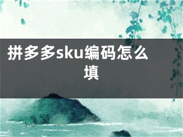 拼多多sku编码怎么填 