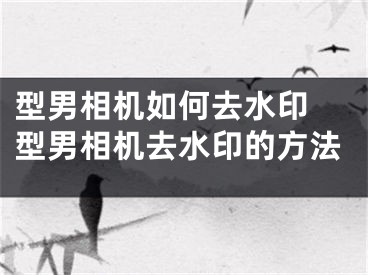 型男相机如何去水印 型男相机去水印的方法