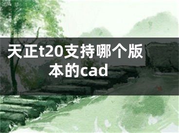 天正t20支持哪个版本的cad