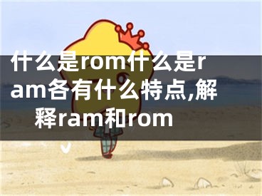 什么是rom什么是ram各有什么特点,解释ram和rom