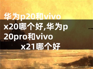 华为p20和vivox20哪个好,华为p20pro和vivox21哪个好
