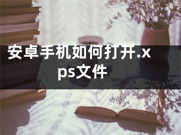 安卓手机如何打开.xps文件