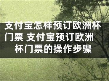 支付宝怎样预订欧洲杯门票 支付宝预订欧洲杯门票的操作步骤