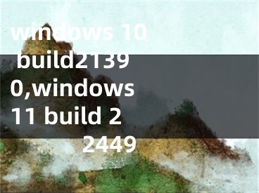 windows 10 build21390,windows 11 build 22449