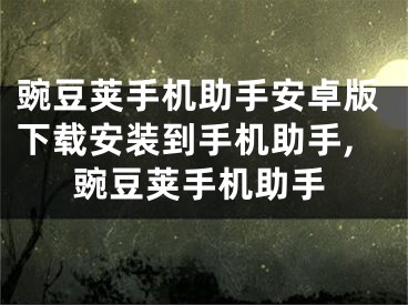 豌豆荚手机助手安卓版下载安装到手机助手,豌豆荚手机助手