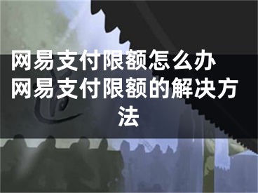 网易支付限额怎么办 网易支付限额的解决方法