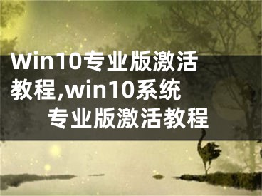 Win10专业版激活教程,win10系统专业版激活教程