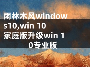 雨林木风windows10,win 10家庭版升级win 10专业版