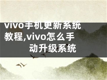 vivo手机更新系统教程,vivo怎么手动升级系统
