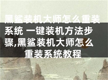 黑鲨装机大师怎么重装系统 一键装机方法步骤,黑鲨装机大师怎么重装系统教程