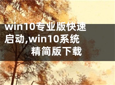 win10专业版快速启动,win10系统精简版下载