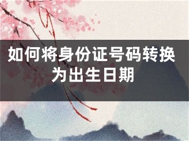 如何将身份证号码转换为出生日期