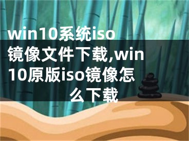 win10系统iso镜像文件下载,win10原版iso镜像怎么下载