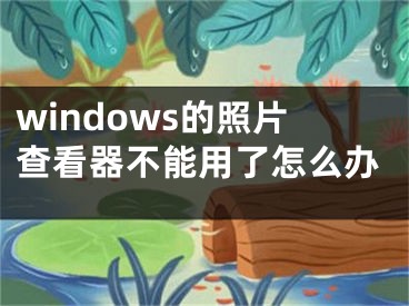 windows的照片查看器不能用了怎么办