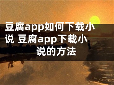 豆腐app如何下载小说 豆腐app下载小说的方法