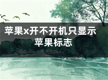 苹果x开不开机只显示苹果标志