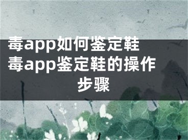 毒app如何鉴定鞋 毒app鉴定鞋的操作步骤