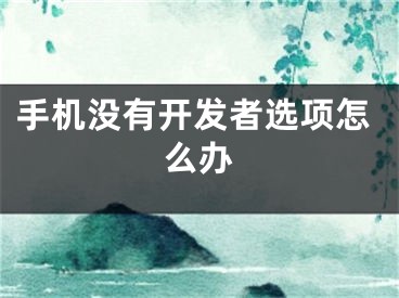 手机没有开发者选项怎么办