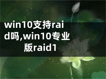 win10支持raid吗,win10专业版raid1