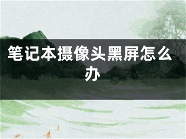 笔记本摄像头黑屏怎么办