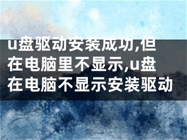 u盘驱动安装成功,但在电脑里不显示,u盘在电脑不显示安装驱动