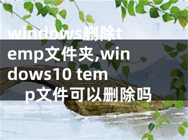 windows删除temp文件夹,windows10 temp文件可以删除吗